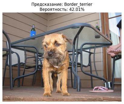 Изображение 5